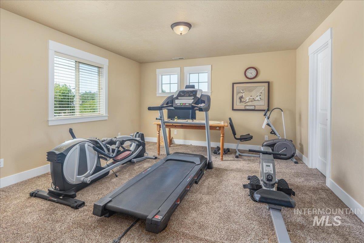 Exercise area with healthy amount of natural light, carpet, and a textured ceiling