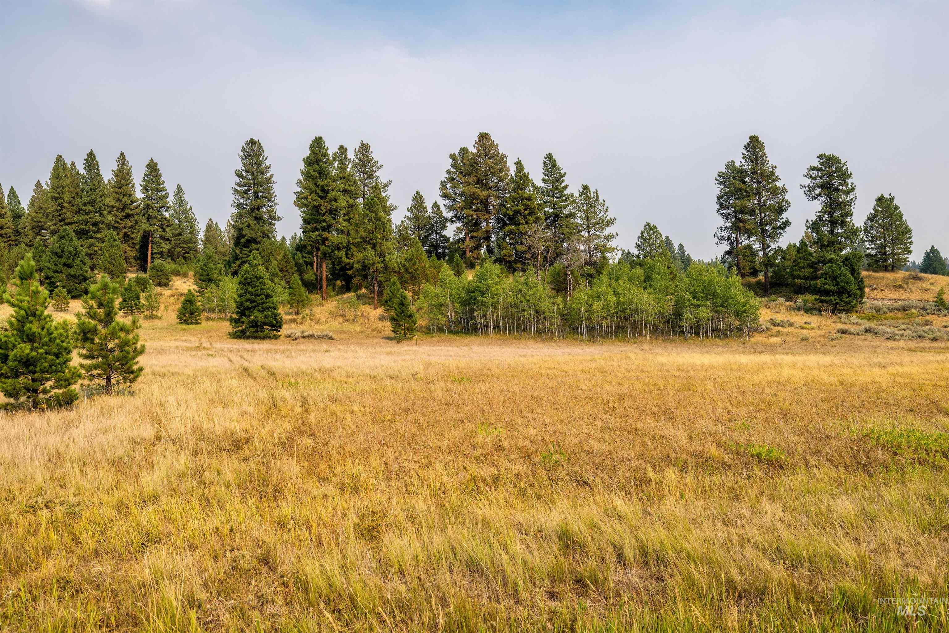 4 Joshua Dr, Cascade, Idaho image 8