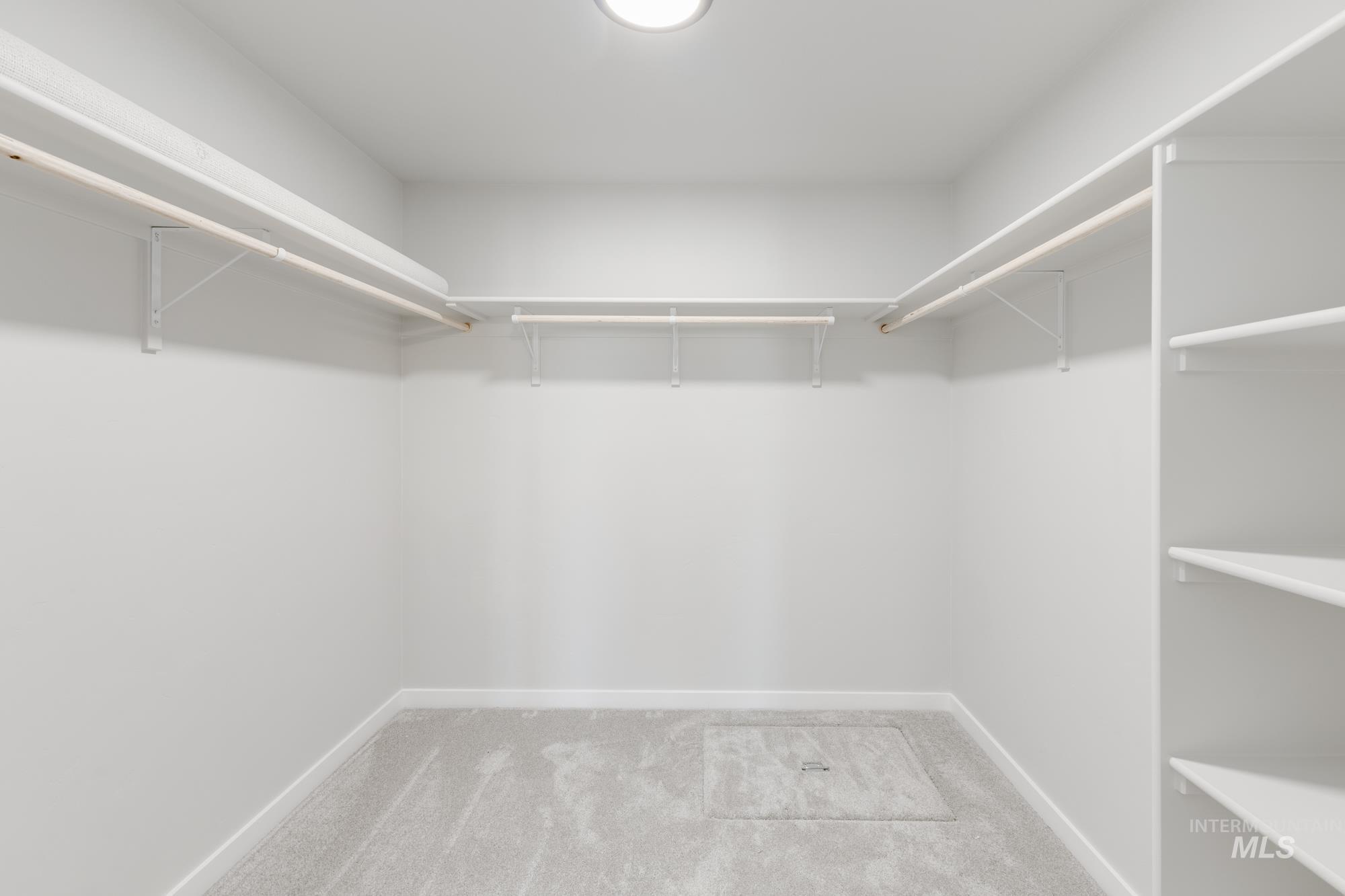 Walk in closet featuring light colored carpet