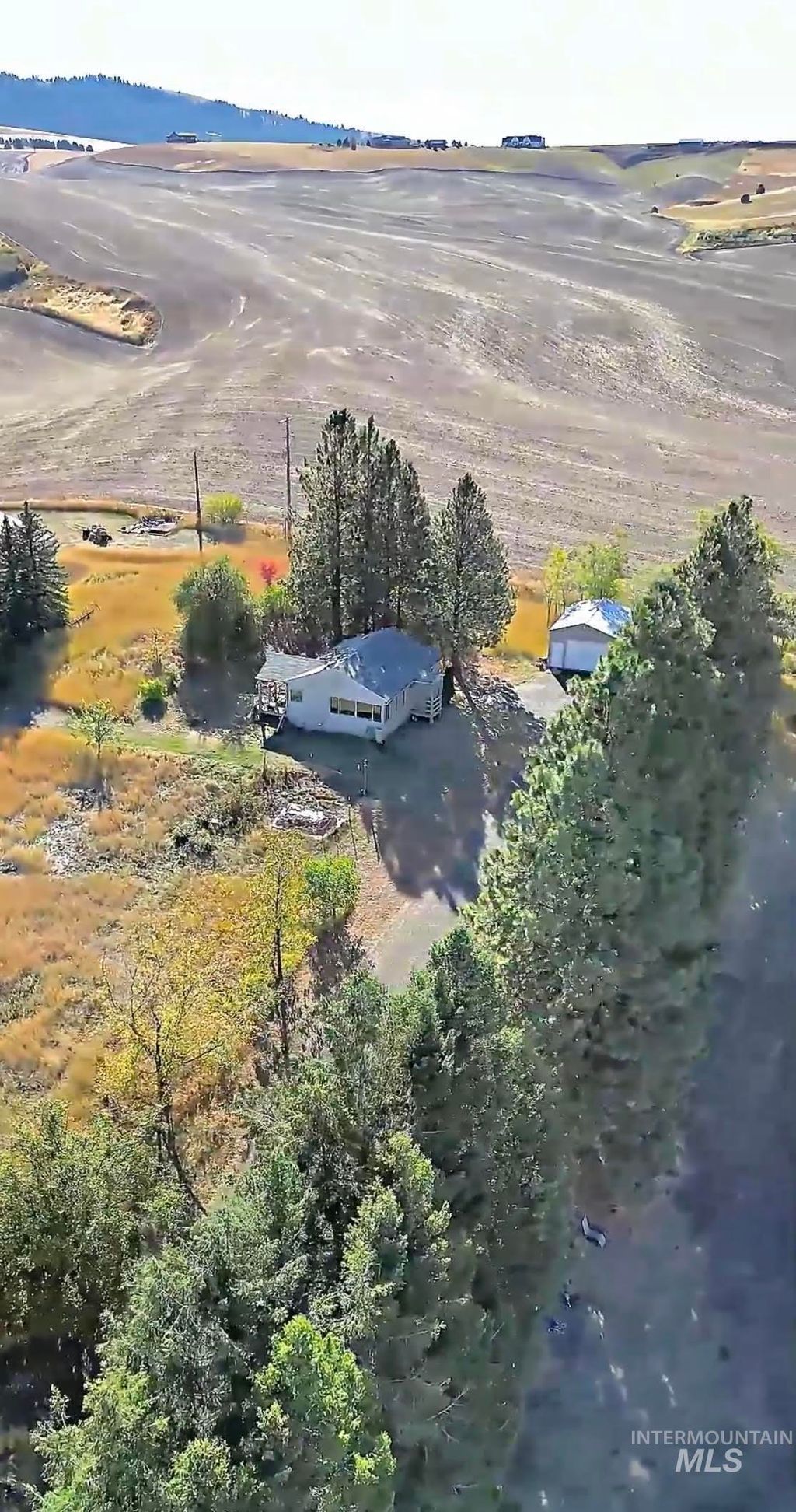 Photo of 1022 Sincar Ln, Moscow, ID 83843 (MLS # 98960033)