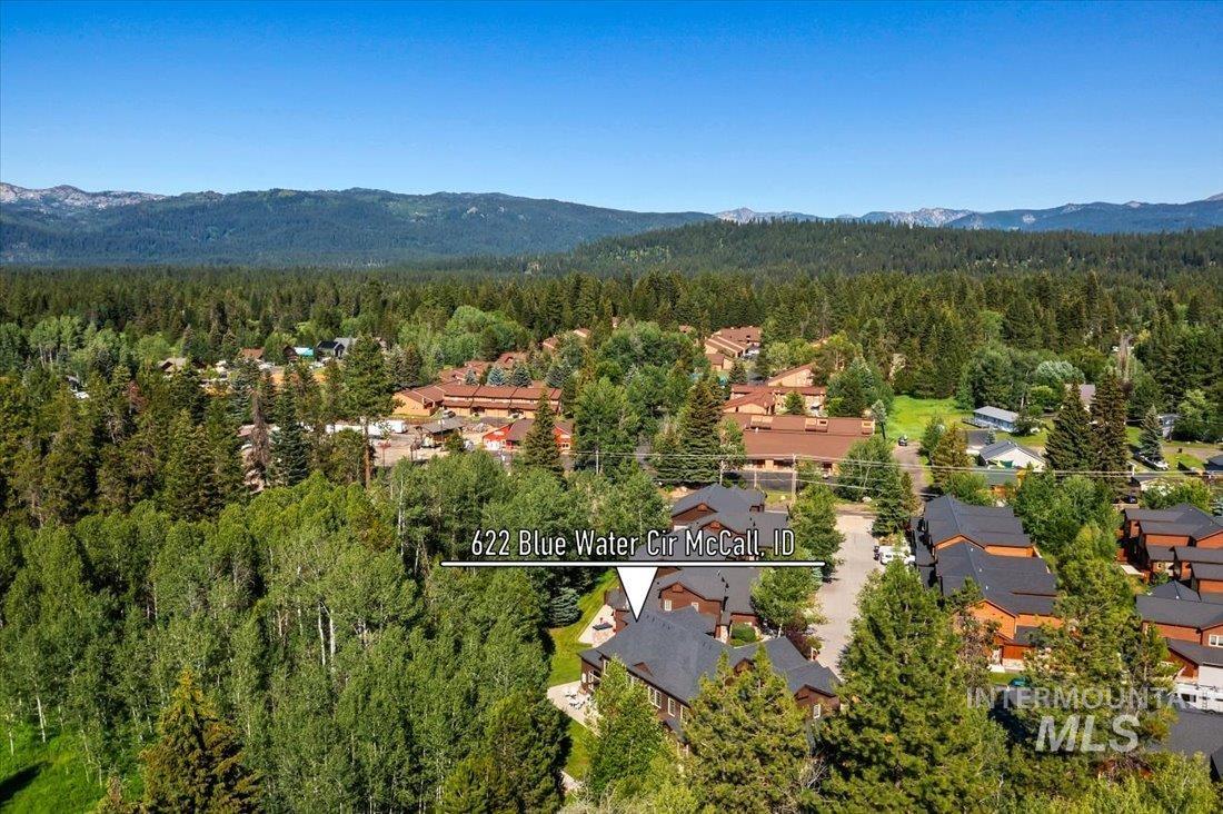Aerial perspective of area featuring a forest and a mountainous background