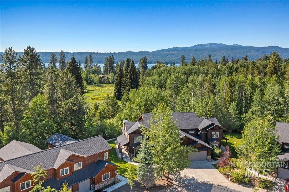 Drone / aerial view of a forest and a mountain backdrop