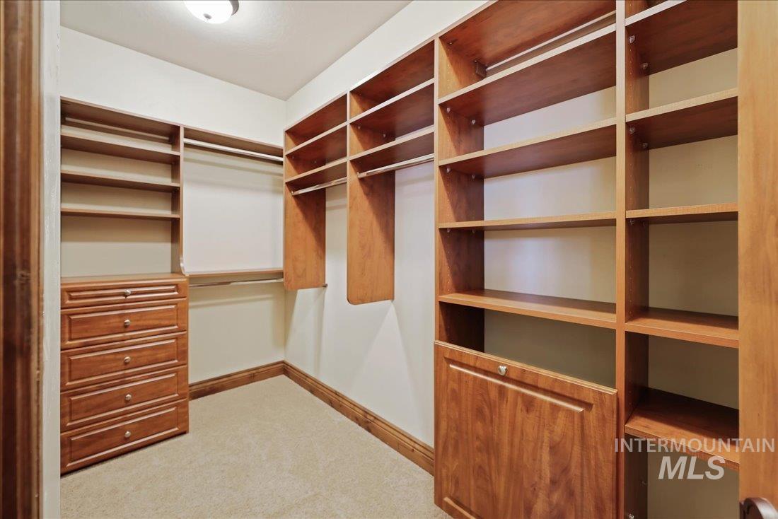 Walk in closet featuring carpet floors