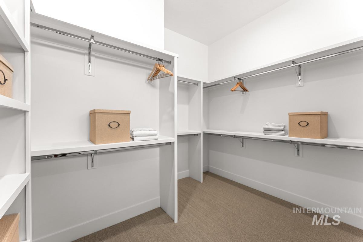 Walk-in closet featuring white built-in shelving, chrome hanging rods, and light-toned carpet flooring