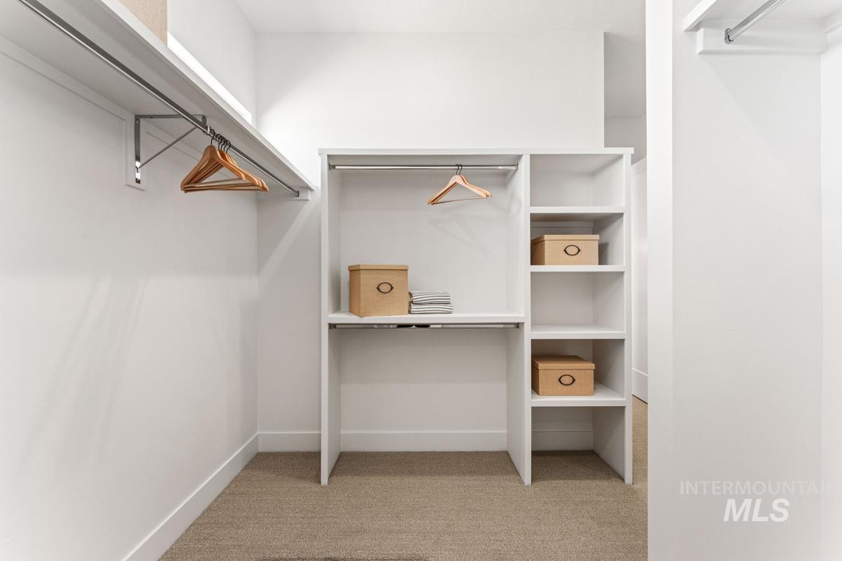 Walk-in closet with built-in shelving, hanging rods, and light-colored carpeting