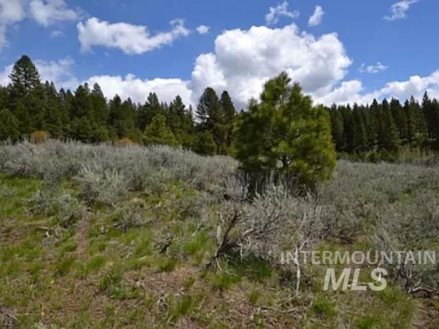 49 Hondo Lane, Donnelly, Idaho image 8