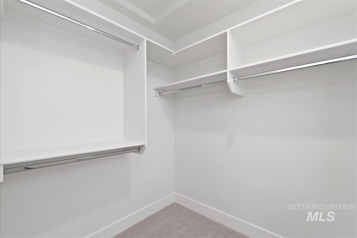 Spacious closet featuring light carpet