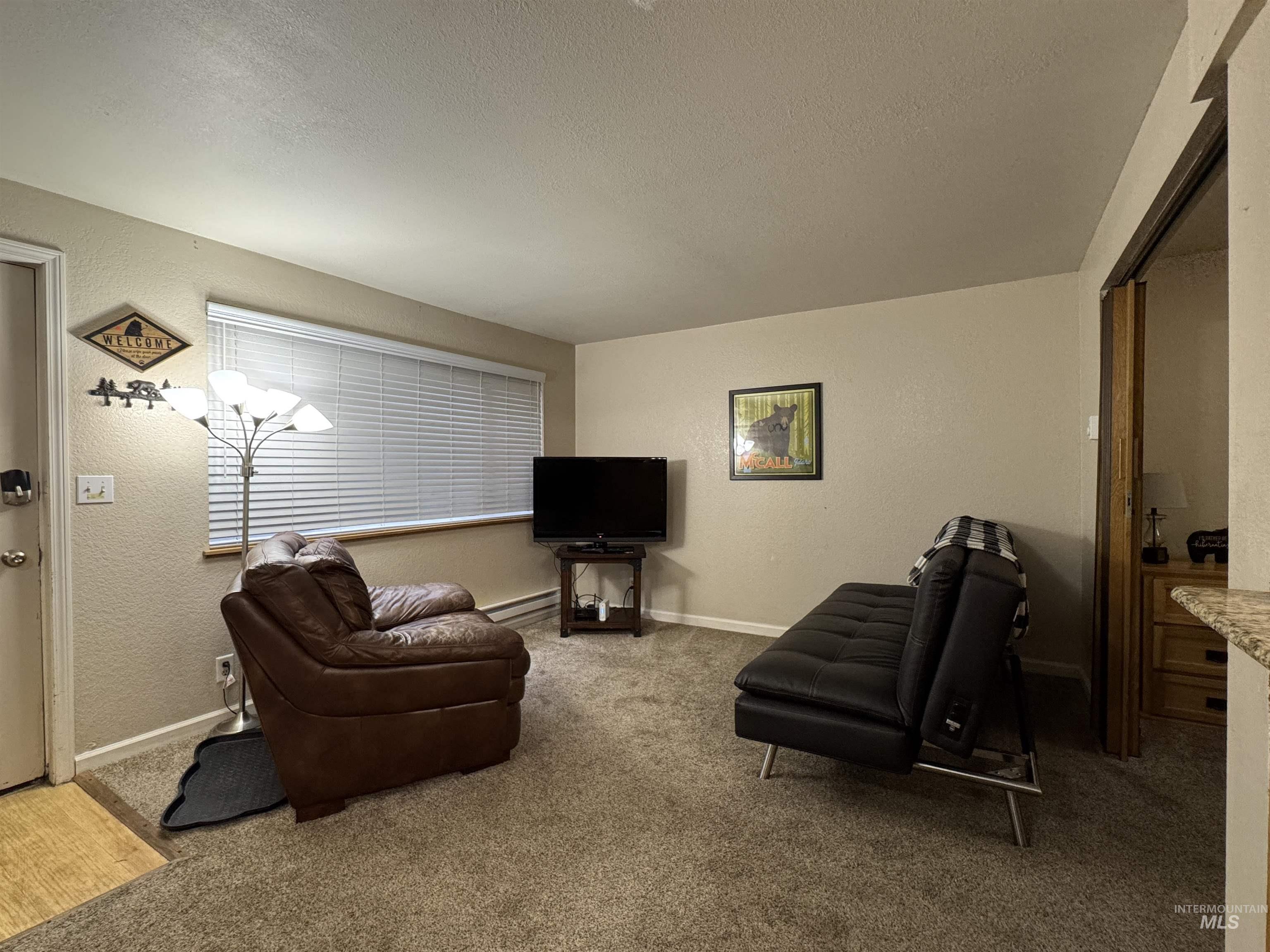 Living area with a textured wall, light carpet, a textured ceiling, and a baseboard radiator