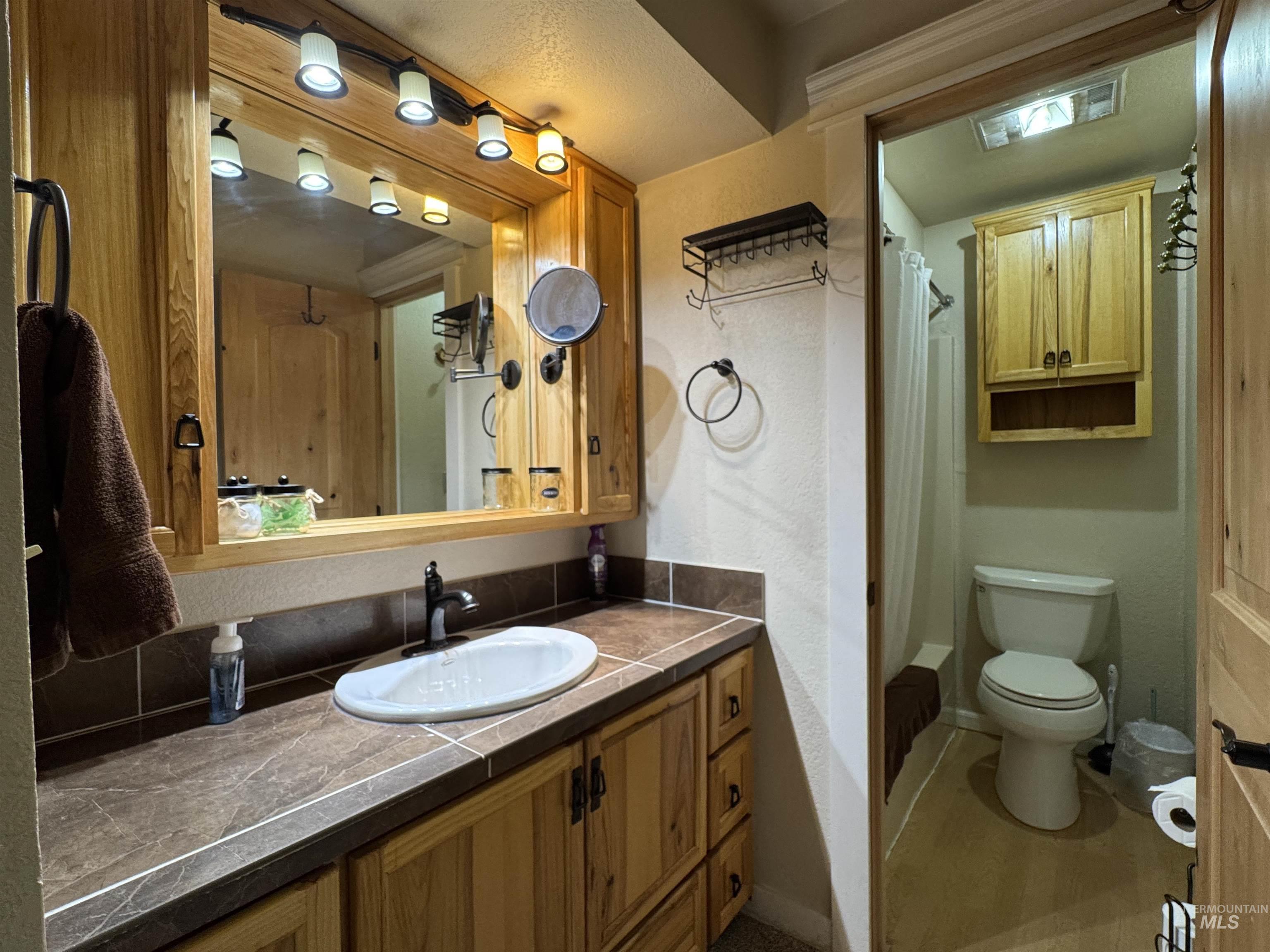 Bathroom with vanity and toilet