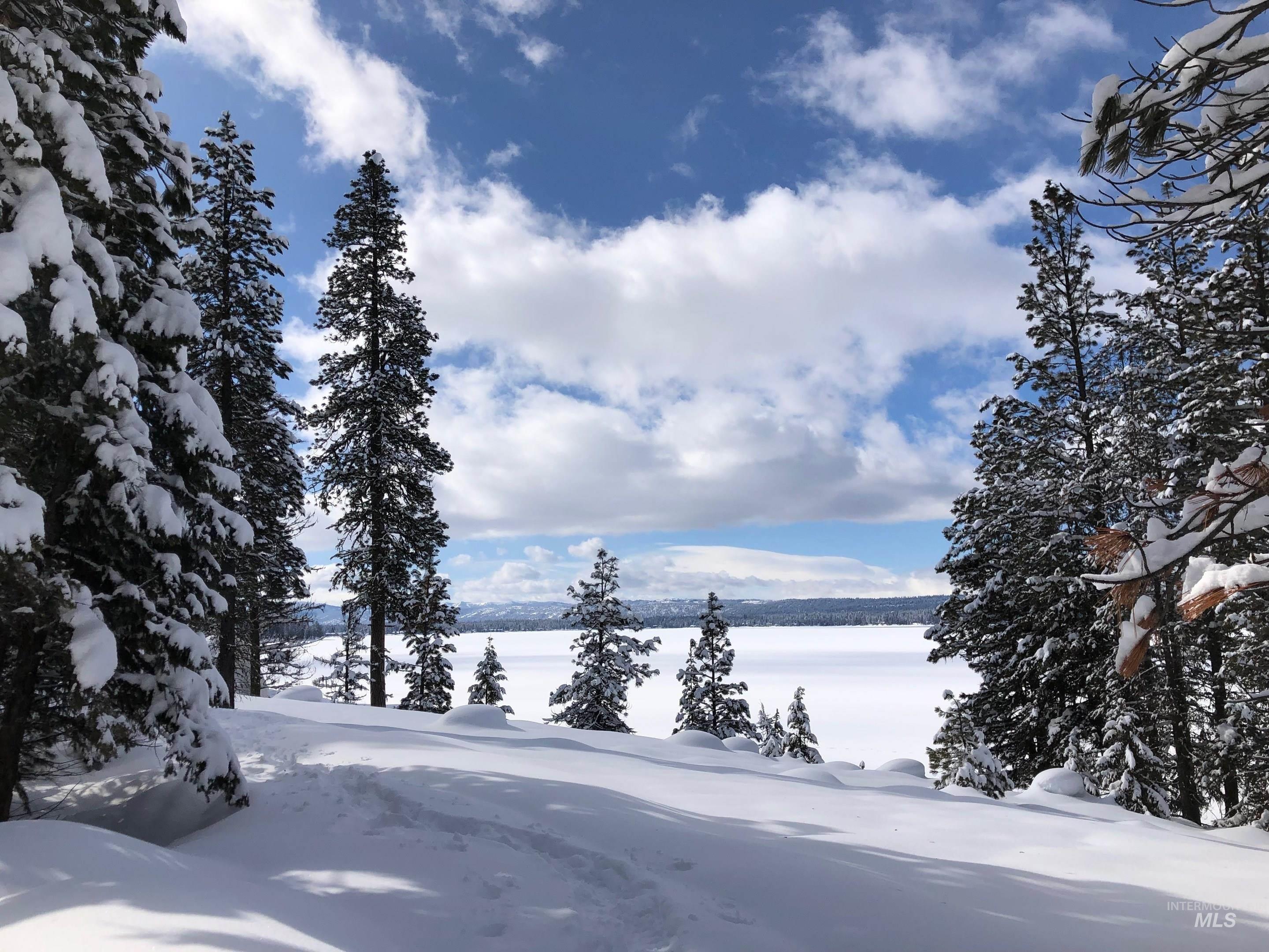View of McCall covered in snow