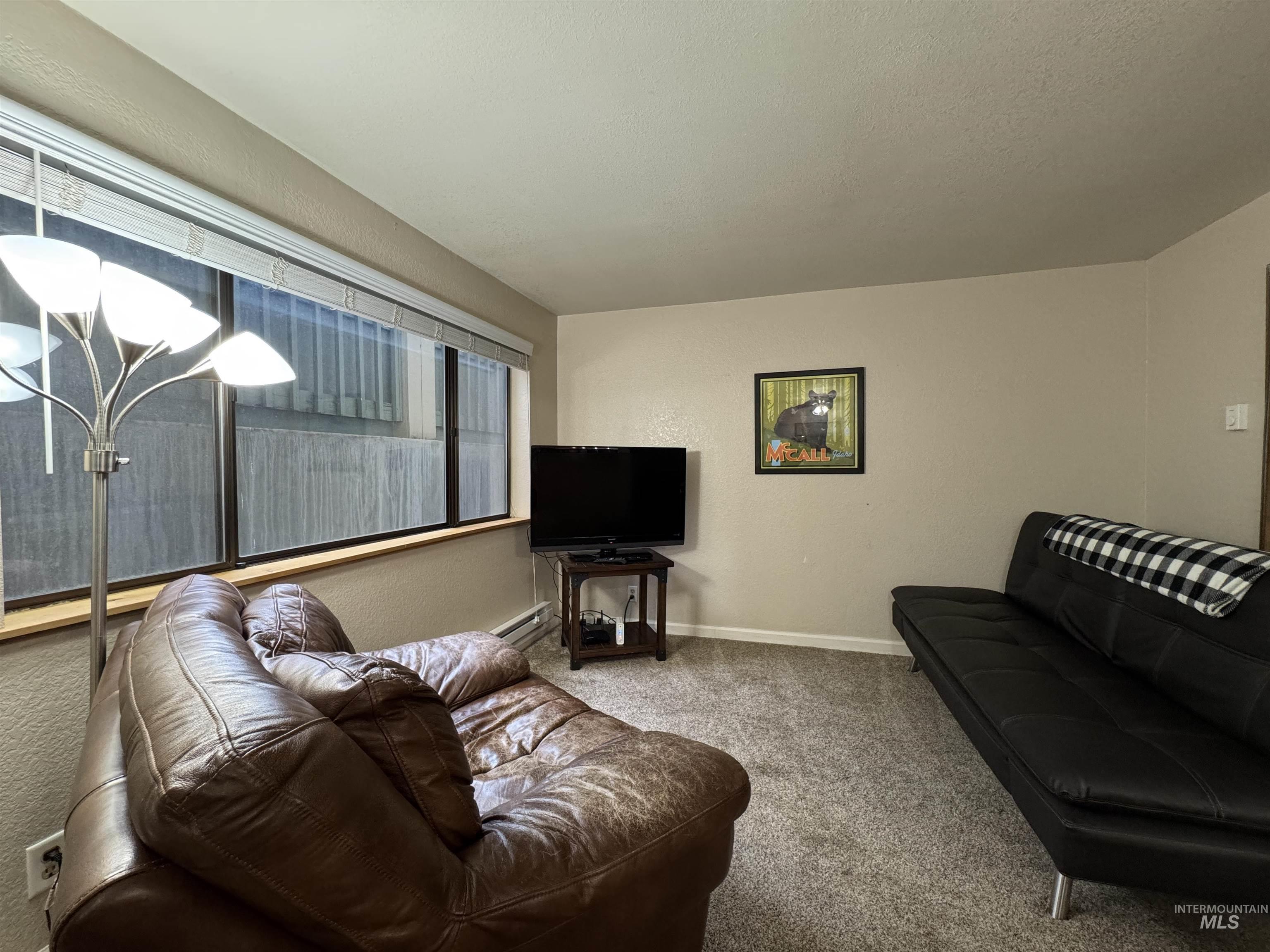 Living area featuring a textured wall, carpet, and a baseboard heating unit