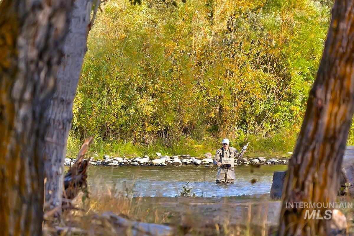 Water view featuring a forest
