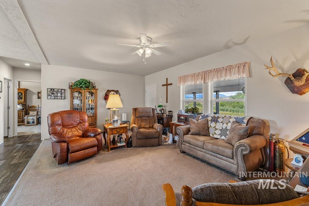 Living area with a ceiling fan and carpet flooring