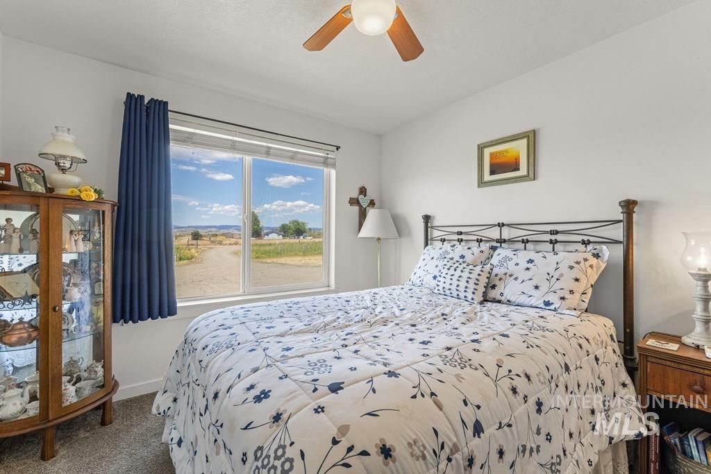 Carpeted bedroom with ceiling fan and baseboards