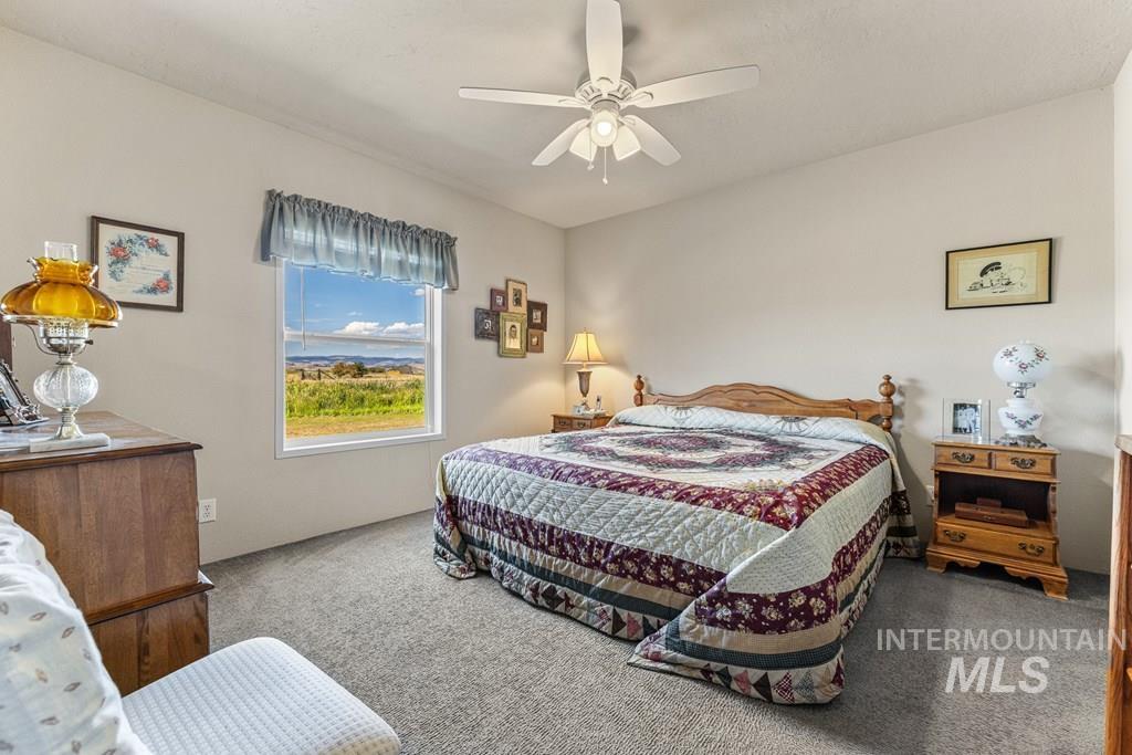 Carpeted bedroom with ceiling fan