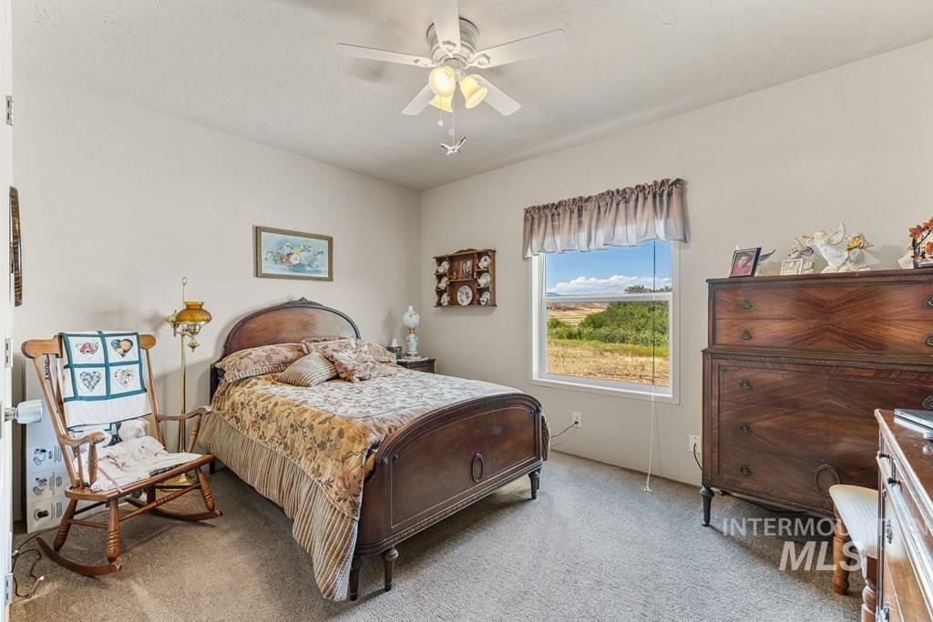 Bedroom featuring light colored carpet and ceiling fan