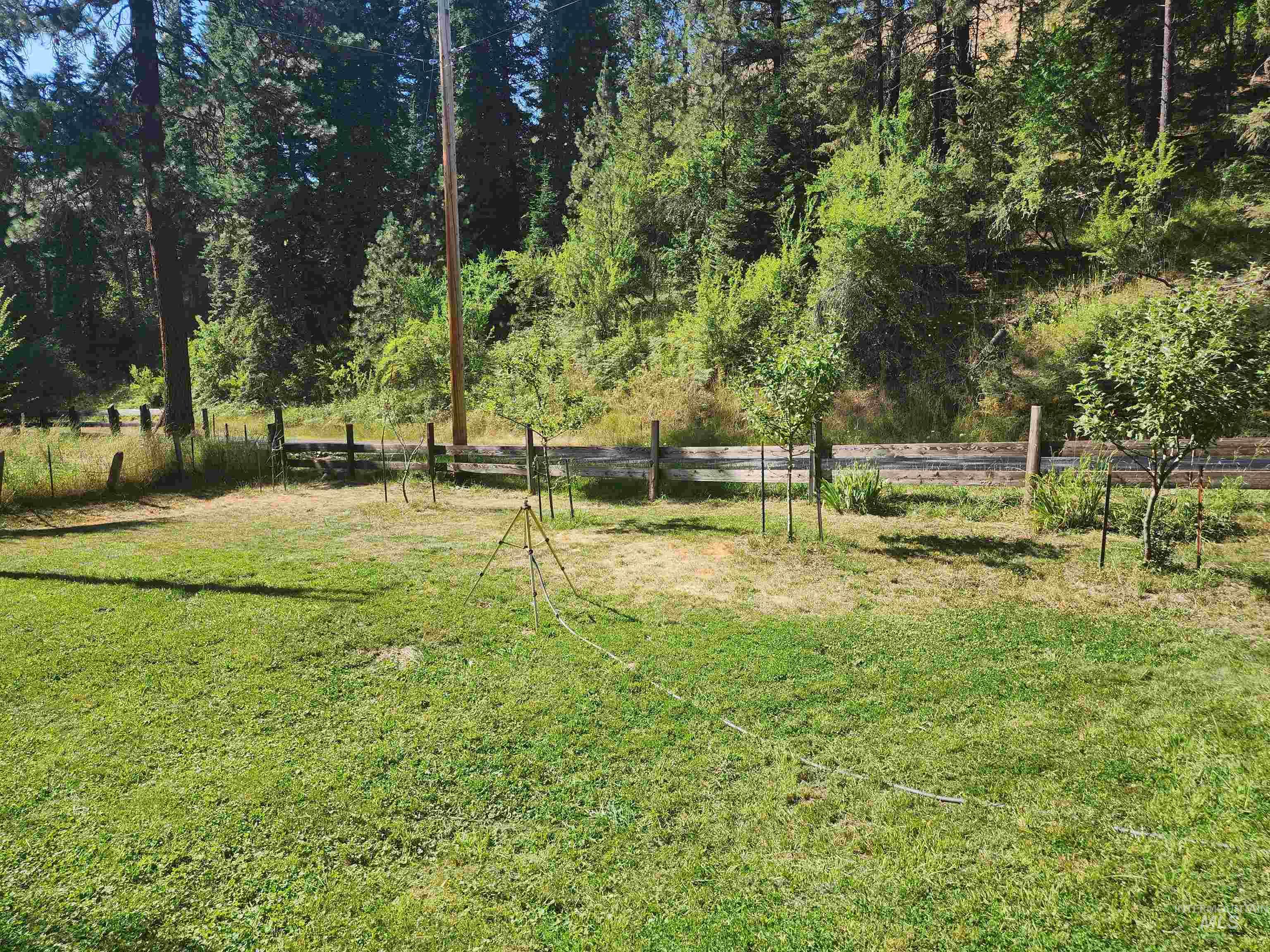 126 Shira Road, Clearwater, Idaho image 19