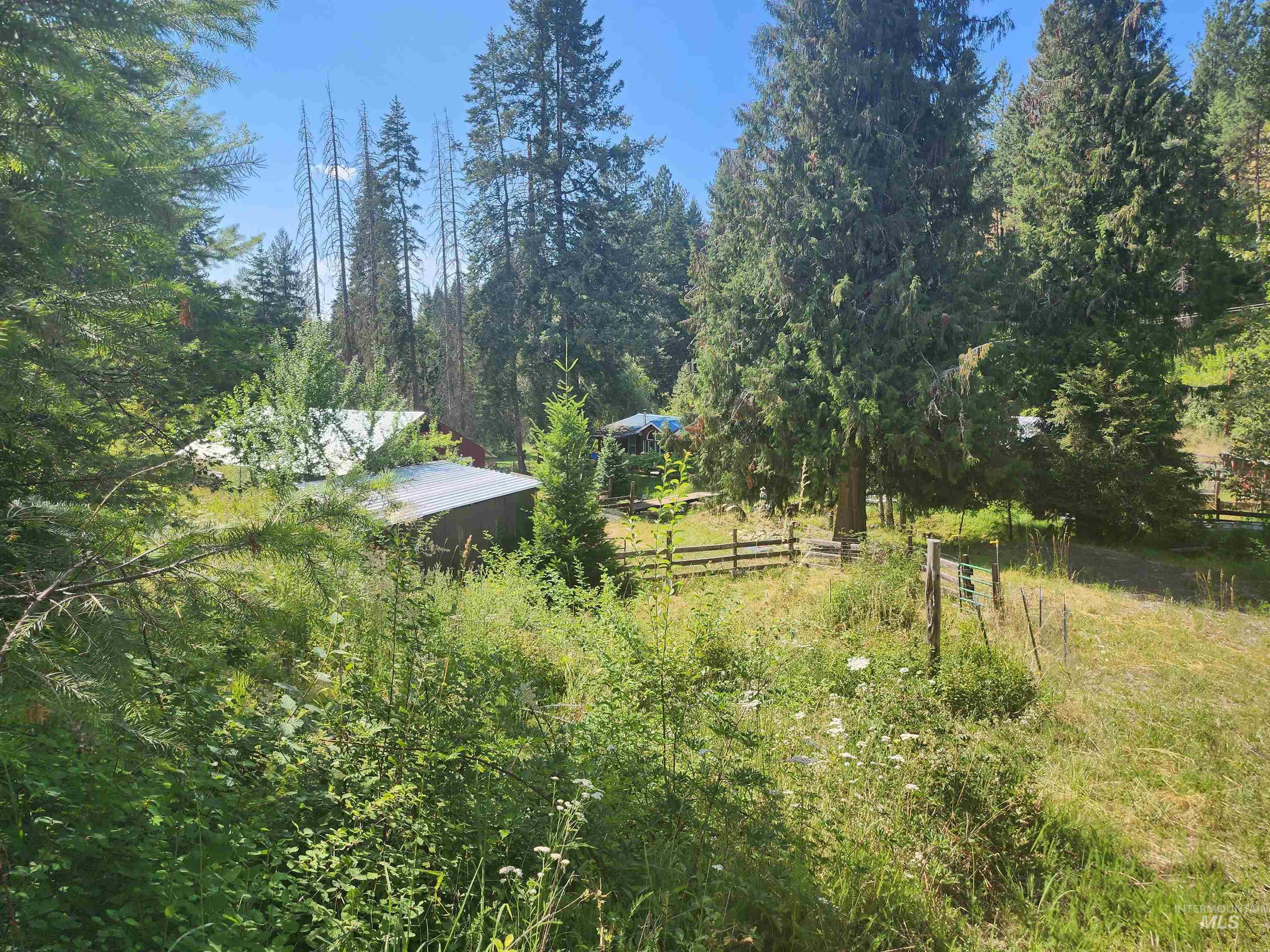 126 Shira Road, Clearwater, Idaho image 18