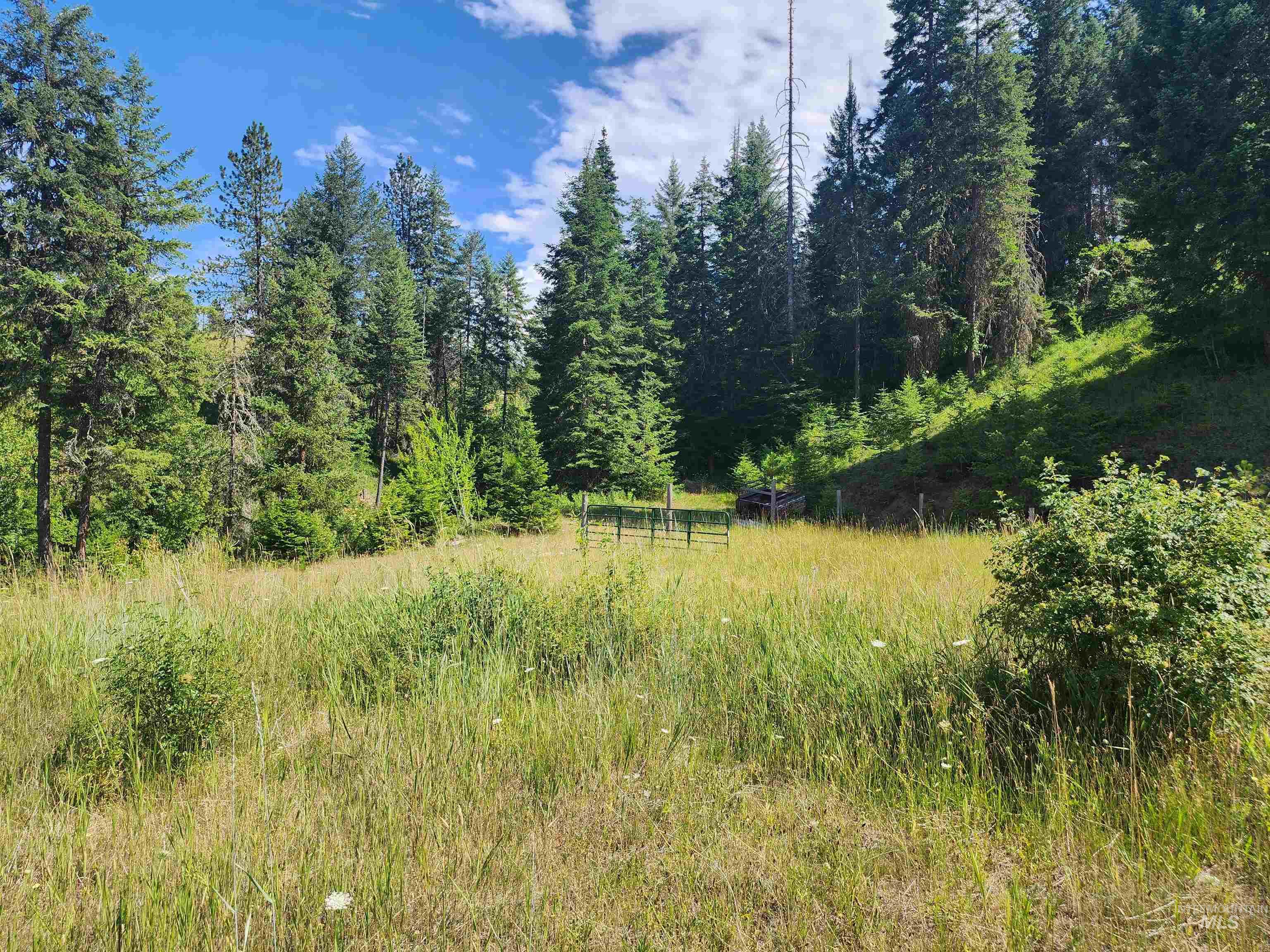 126 Shira Road, Clearwater, Idaho image 17