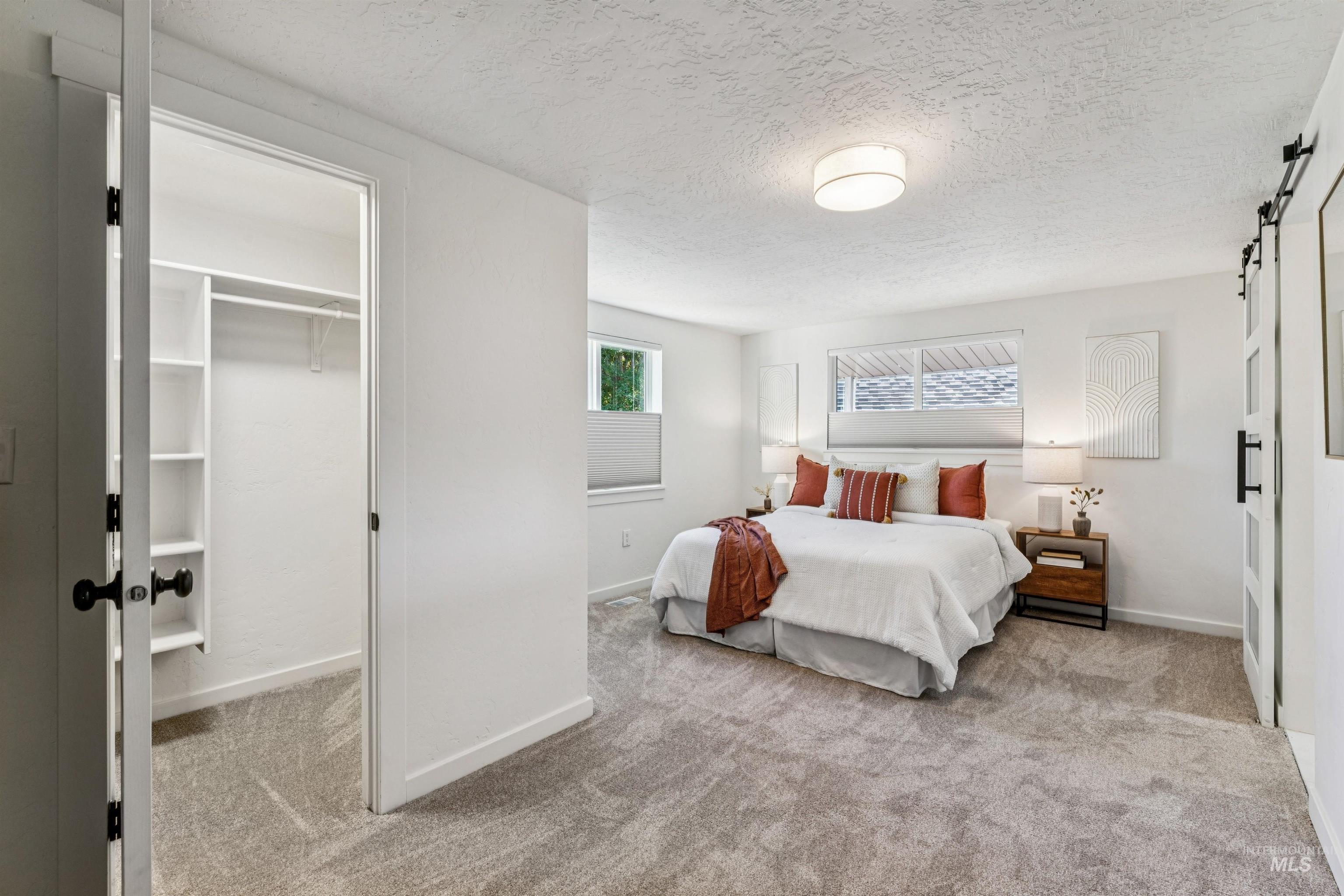 Primary suite with a barn door, light colored carpet, a textured ceiling, and a spacious closet
