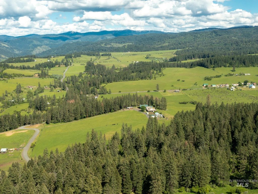 Photo of 794 Pleasant Valley Rd, Clearwater, ID 83552 (MLS # 98987609)