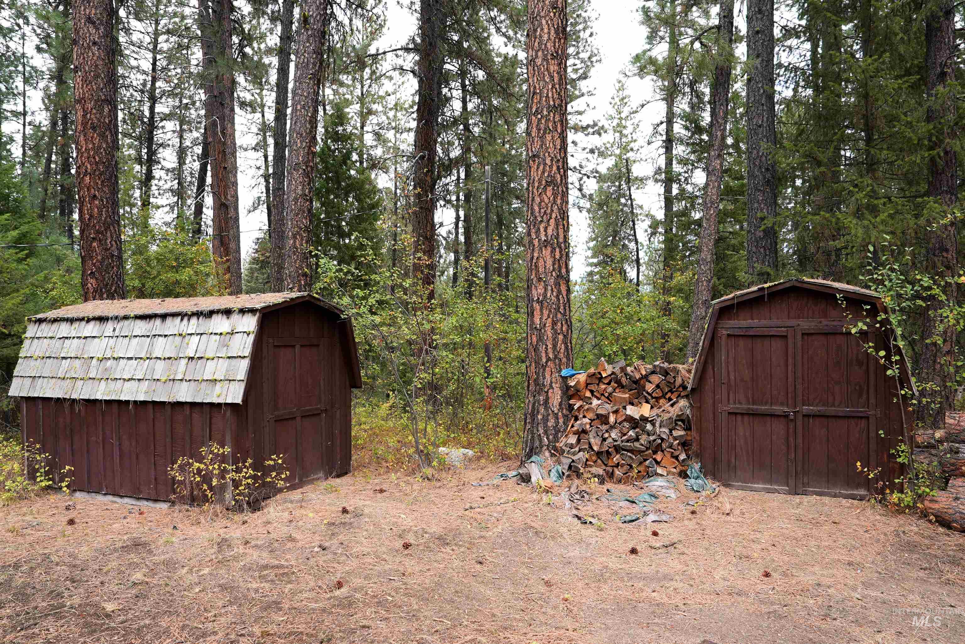 View of yard featuring a shed