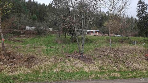 Photo of TBD Pine St Blk 43, Lot 3, Peck, ID 83545 (MLS # 98909672)