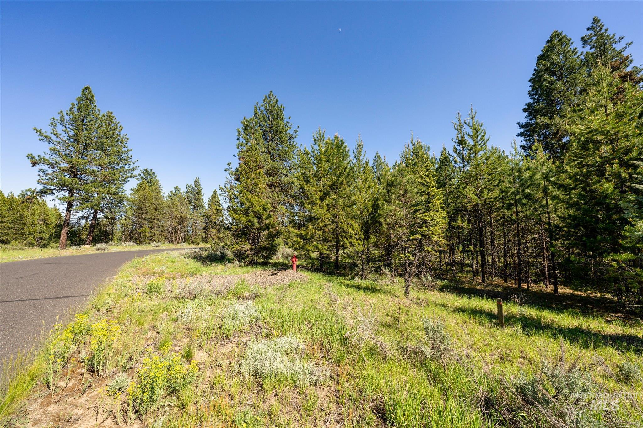 View of asphalt road