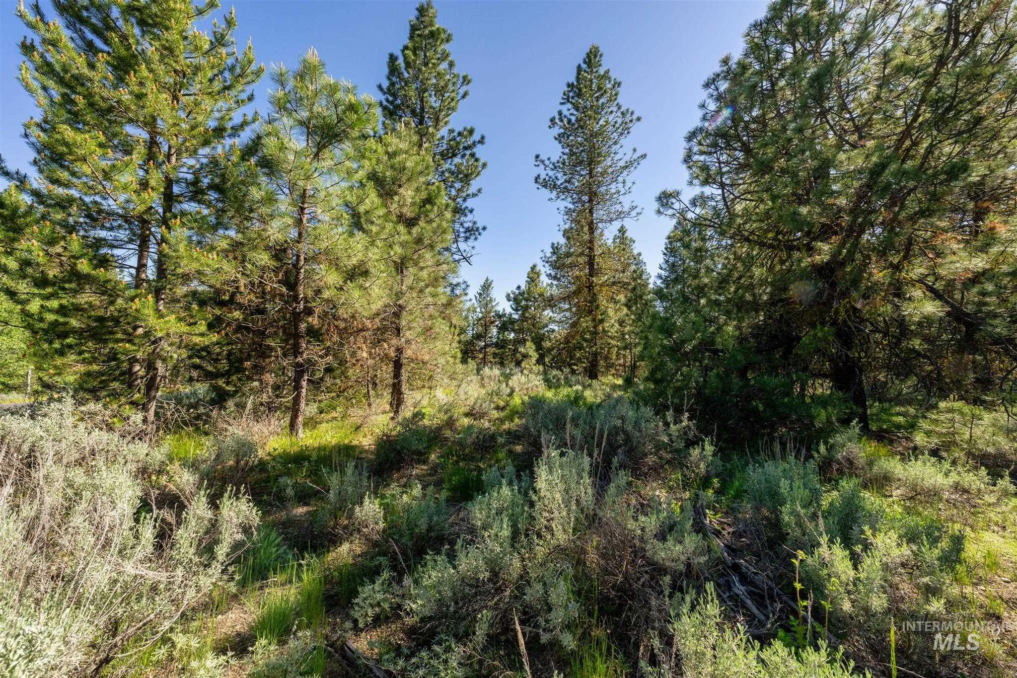 View of wooded area