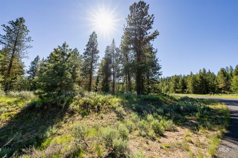 Photo of 110 Fawnlilly Dr, McCall, ID 83638 (MLS # 98968487)