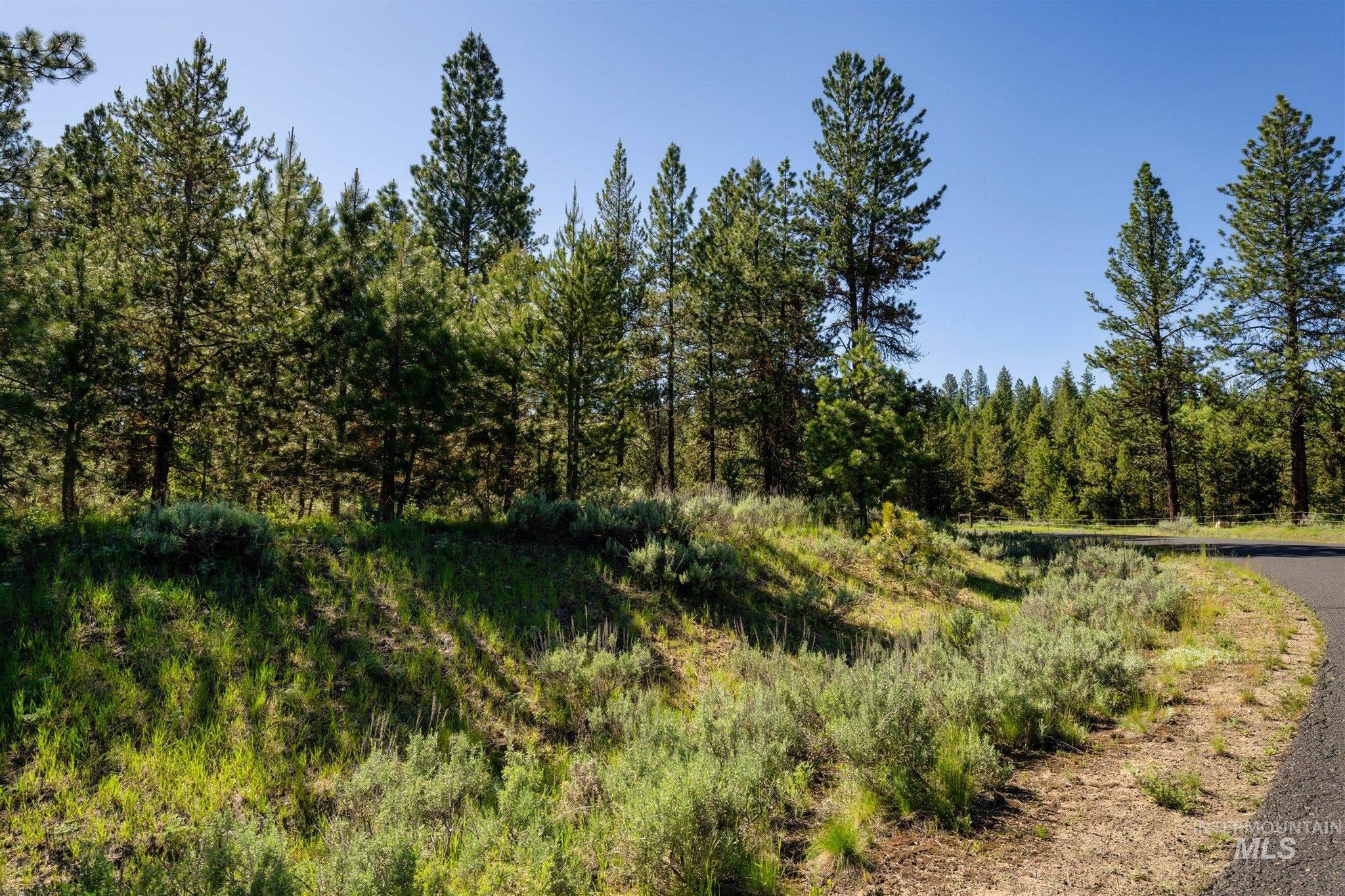 View of woods