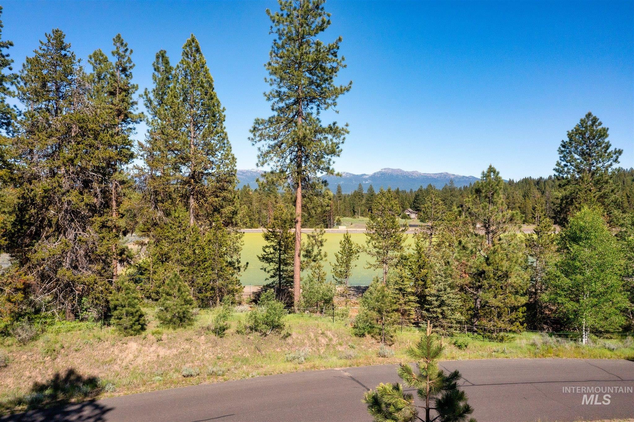 Mountain view with a forest