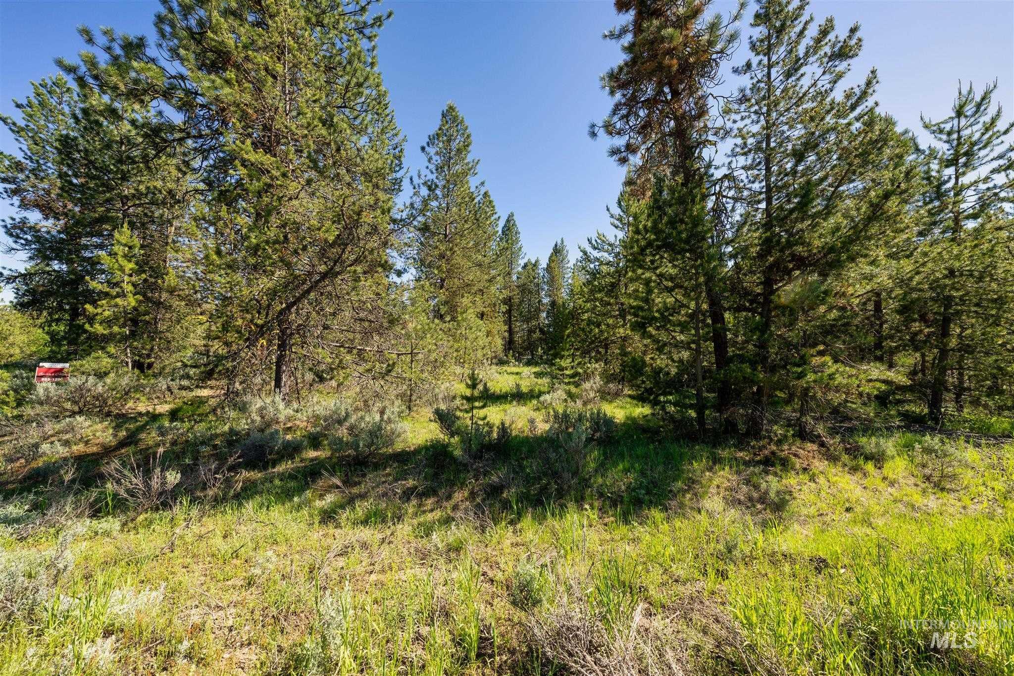 View of undeveloped land