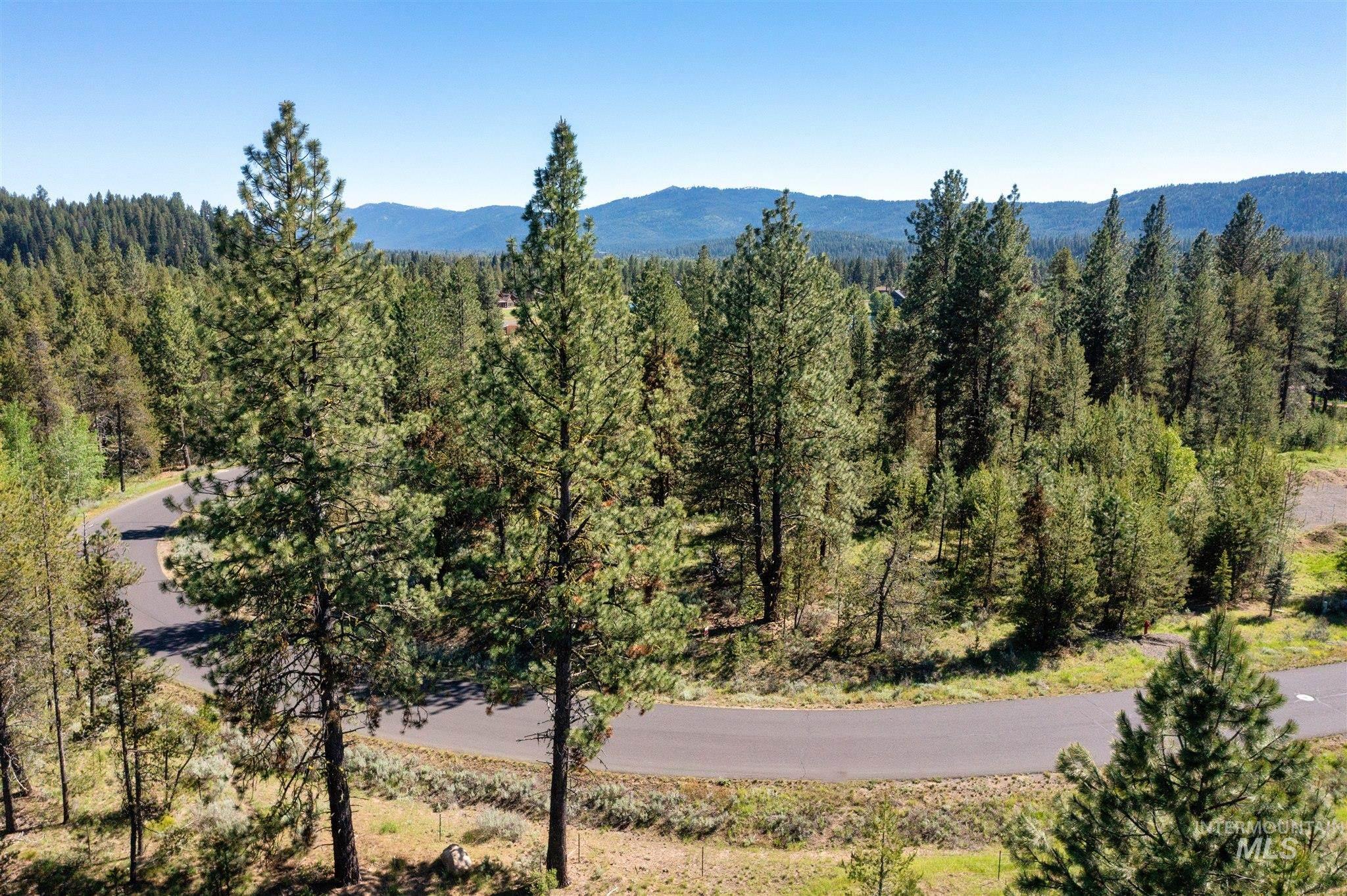 View of mountain backdrop featuring a forest