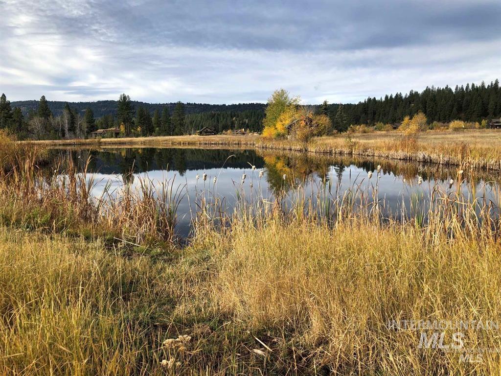Water view with a heavily wooded area