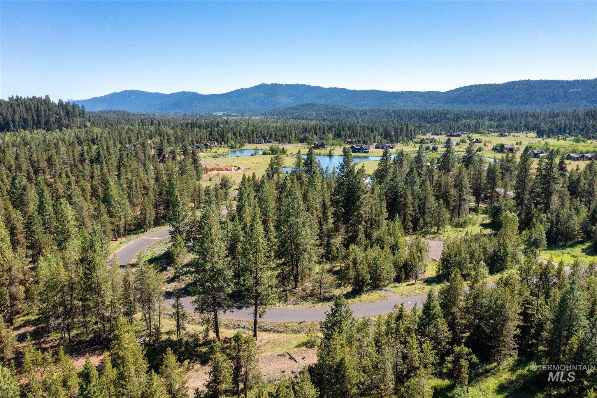Aerial view of a forest and a water and mountain view