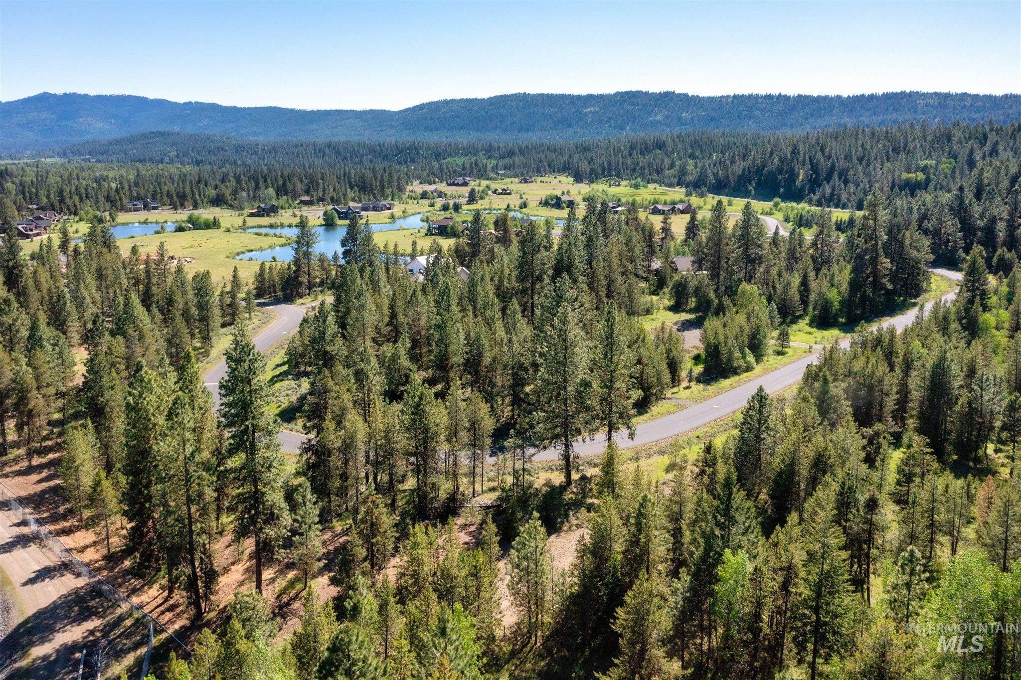 Drone / aerial view of a forest and a water and mountain view