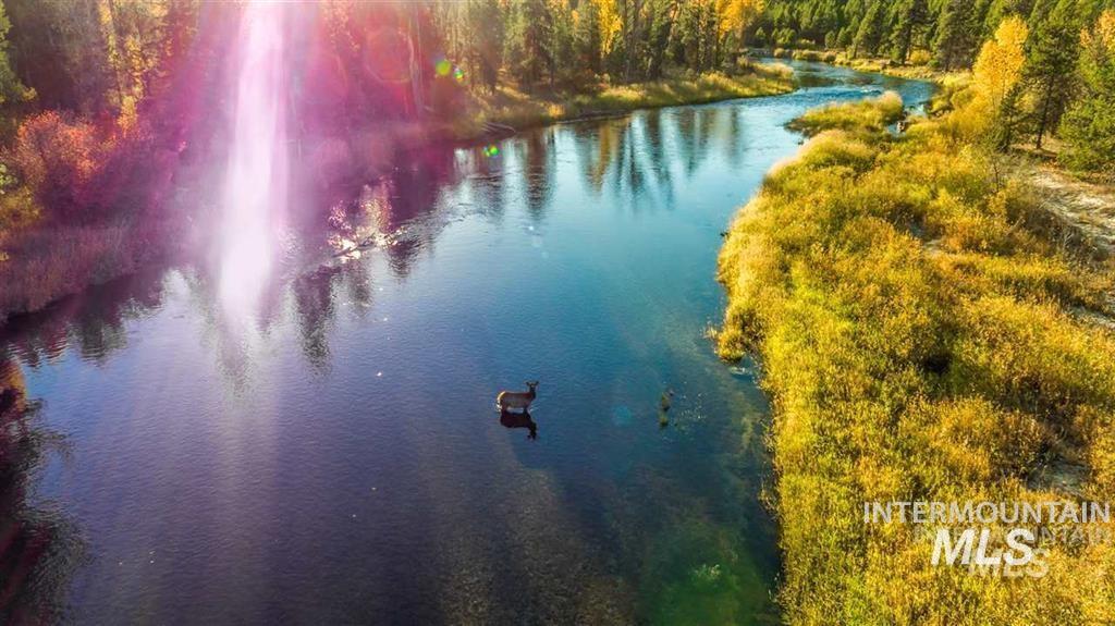 Bird's eye view of a nearby body of water and a forest