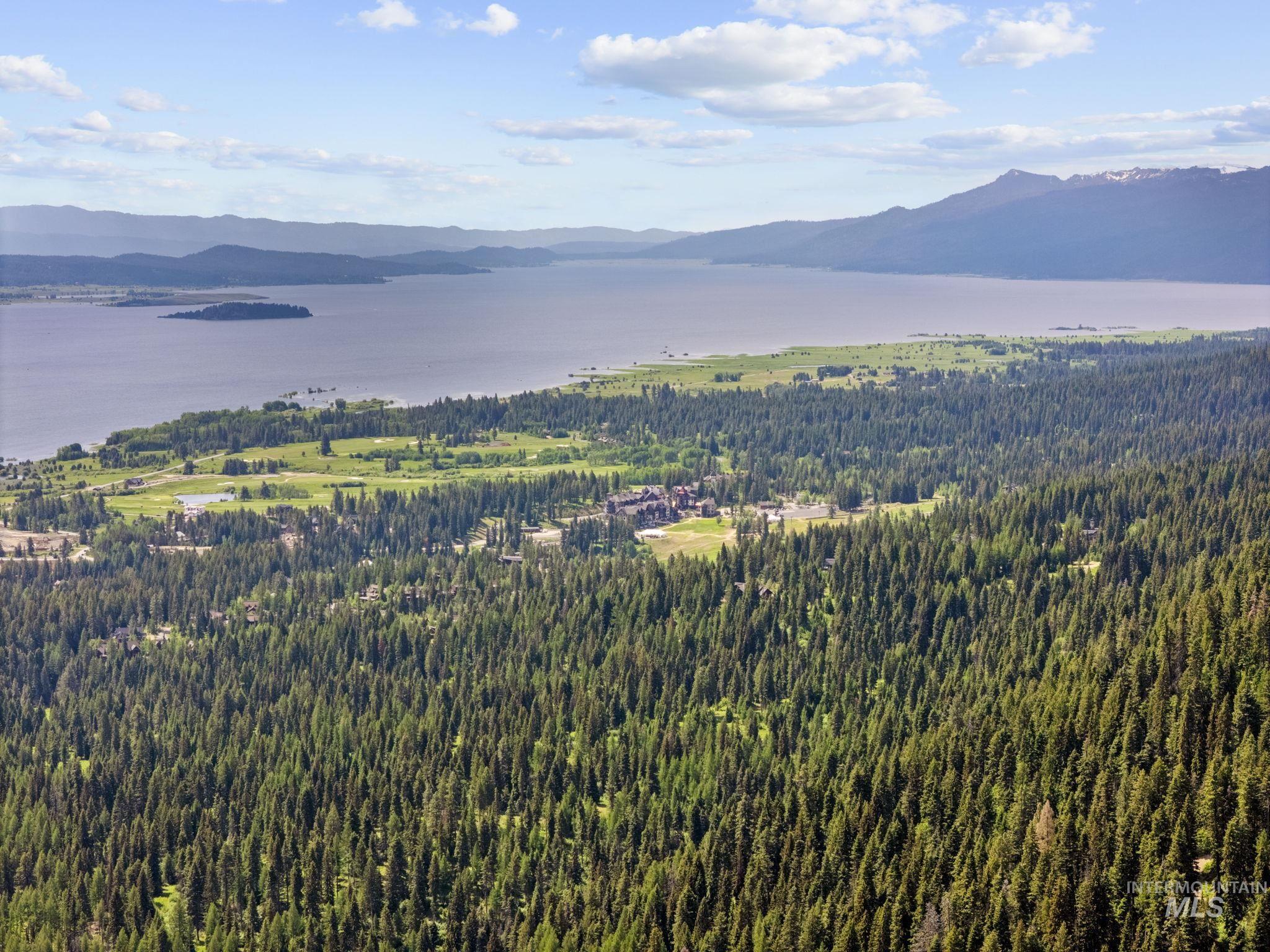 Mountain view with a forest