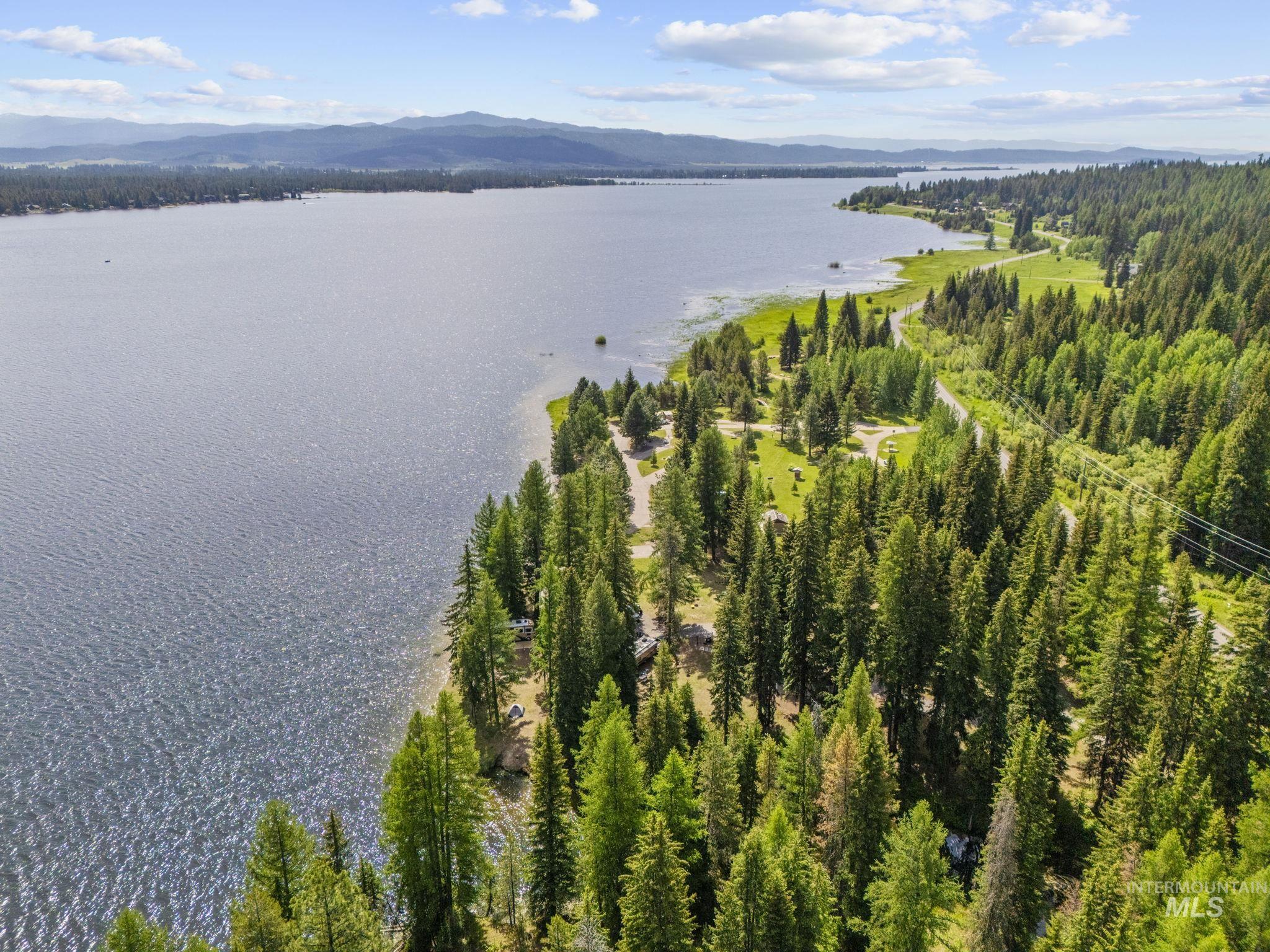 Aerial view of a water and mountain view and a forest