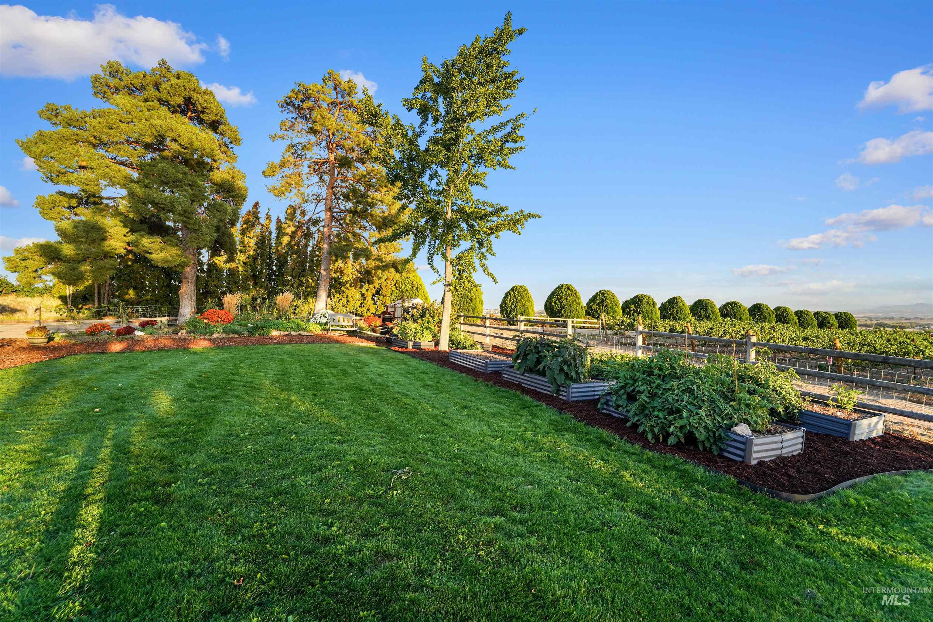 View of yard featuring a garden