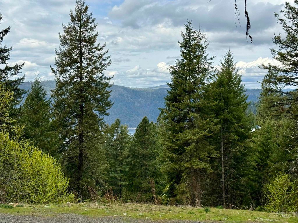 Photo of TBD Lakeview Rd, Orofino, ID 83544 (MLS # 98983808)