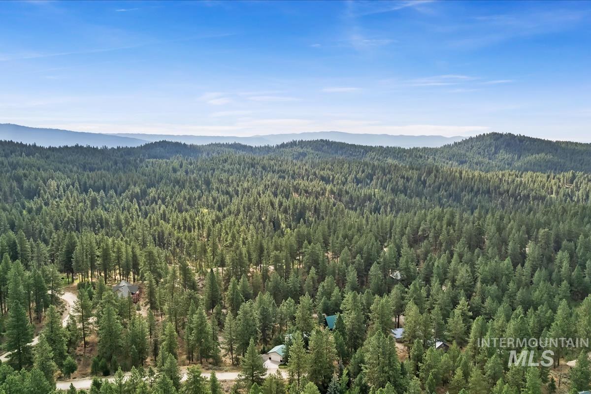 Bird's eye view of a forest and a mountain backdrop