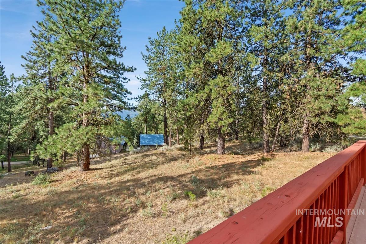 View of yard featuring view of scattered trees