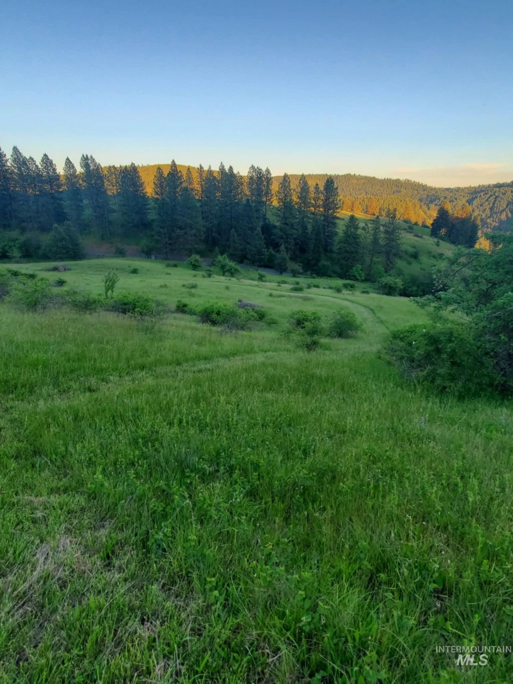 Photo of TBD Harmony Heights Loop, Orofino, ID 83544 (MLS # 98967753)