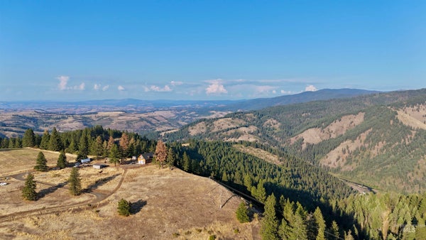 929 MOUNT IDAHO GRADE RD, GRANGEVILLE, ID 83530 - Image 7cd3ef433bb26e665217cd069985a558/2312286113