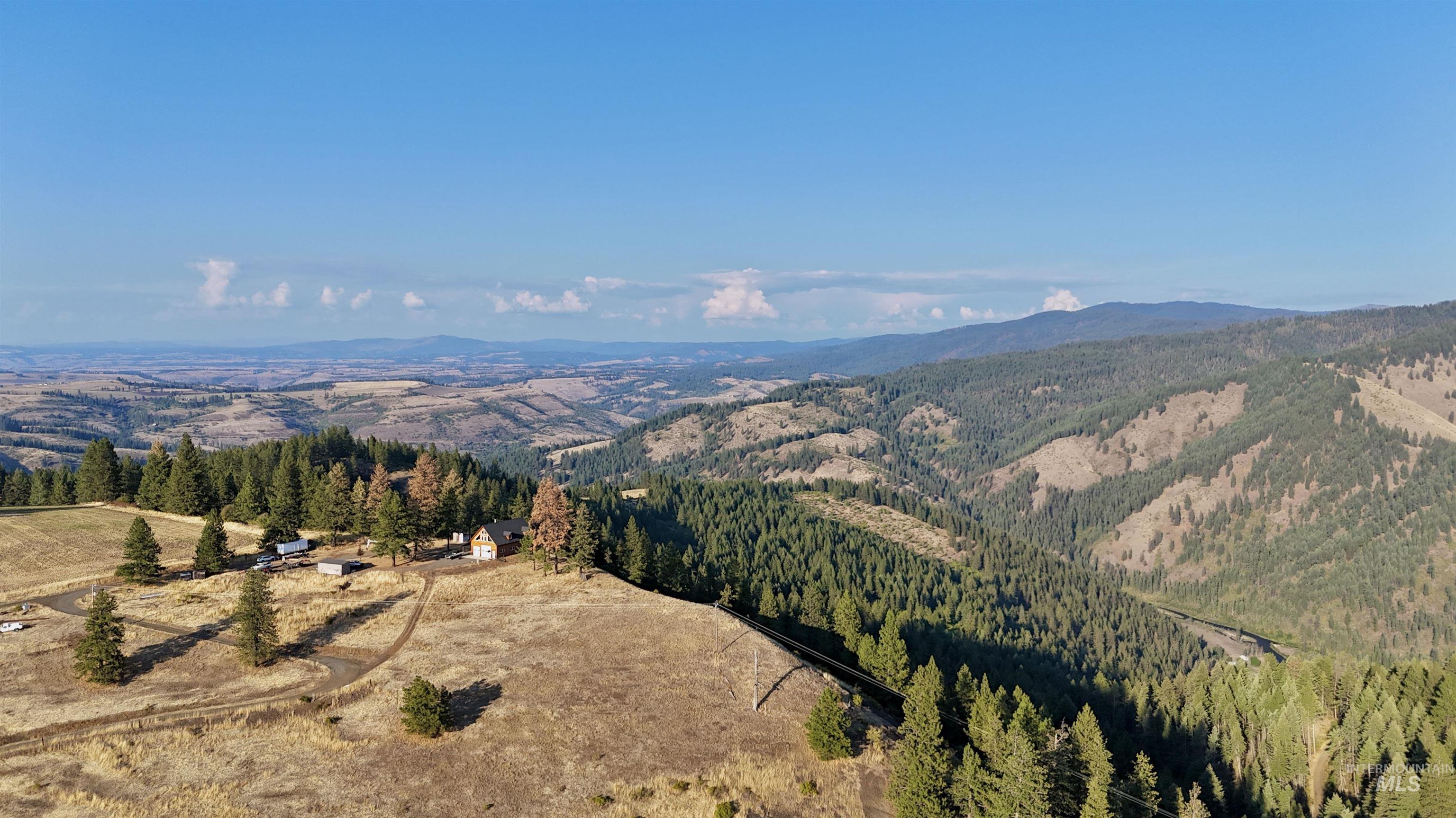 View of mountain backdrop featuring a forest
