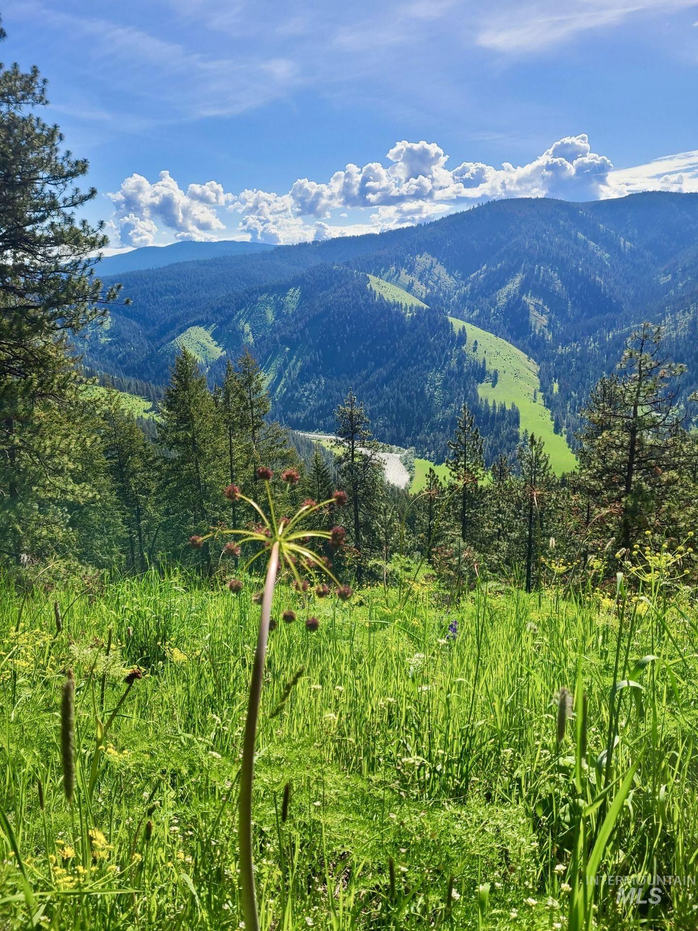 929 Mt. Idaho Grade Rd