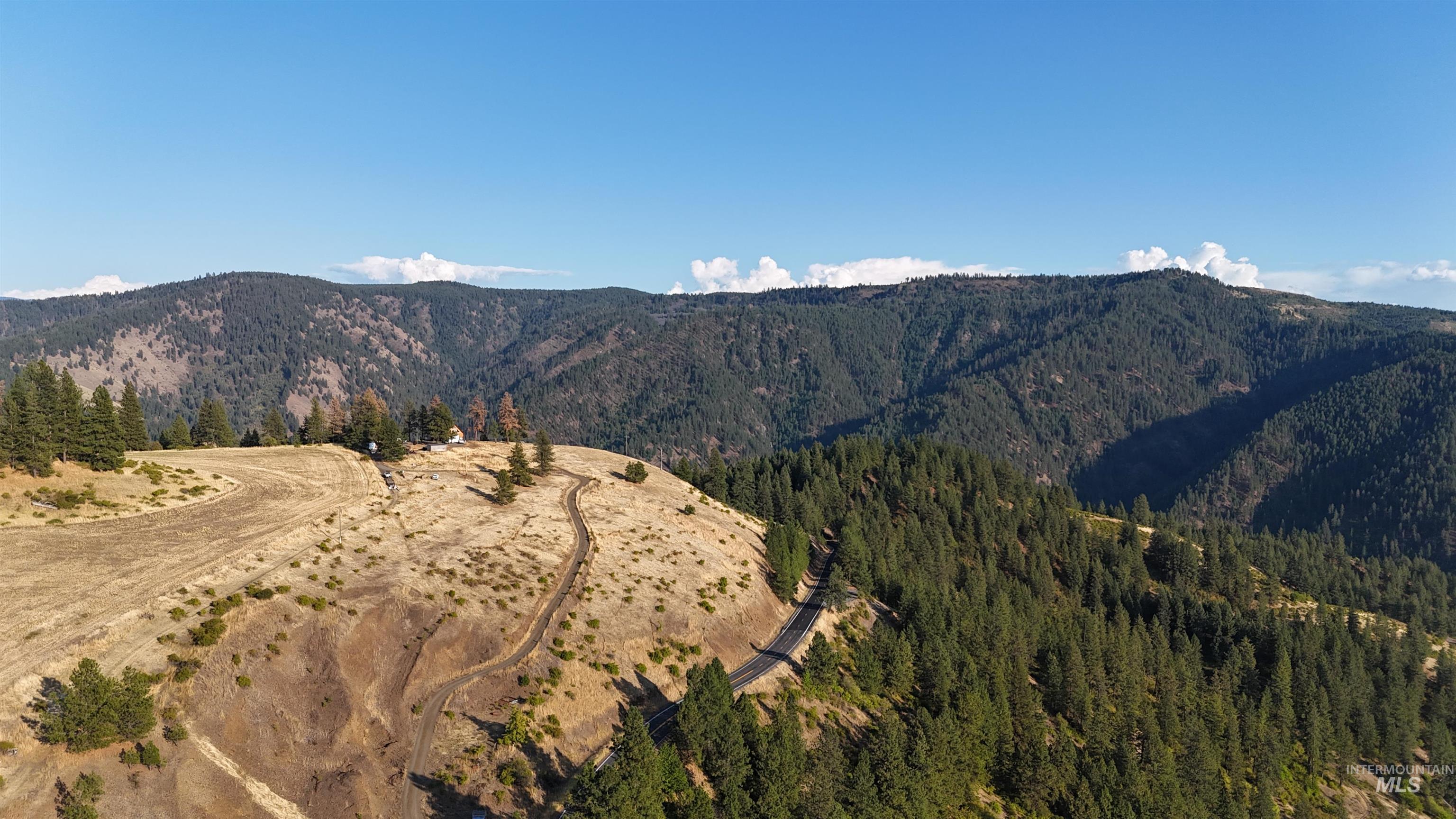 Mountain view featuring a heavily wooded area
