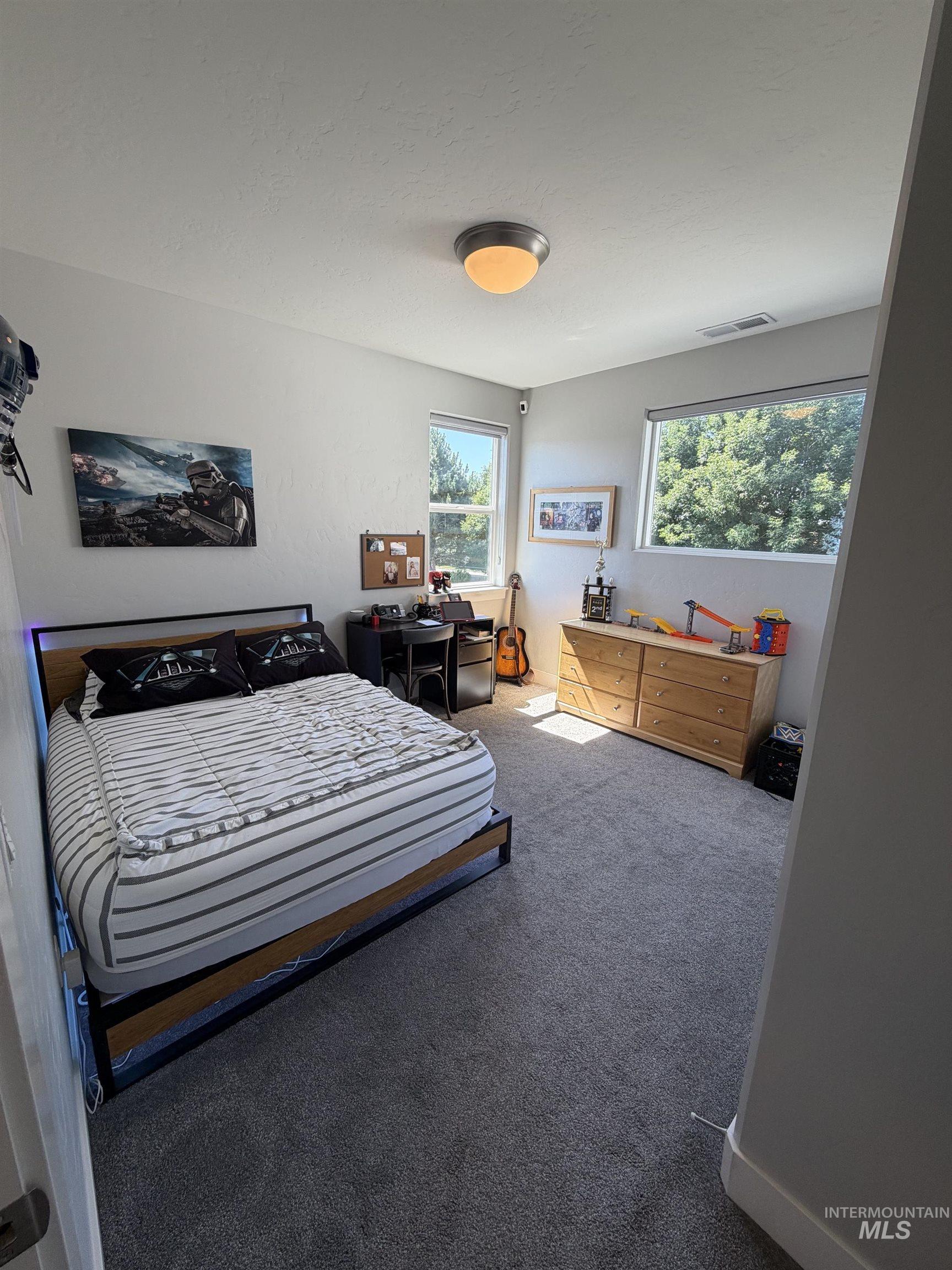 Carpeted room featuring multiple windows, a ceiling-mounted light fixture, and white painted walls